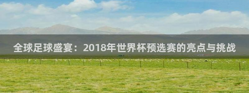 西超杯直播：全球足球盛宴：2018年世界杯预选赛的亮点与挑战