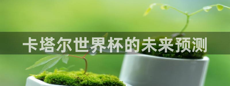 世界杯官网入口：卡塔尔世界杯的未来预测
