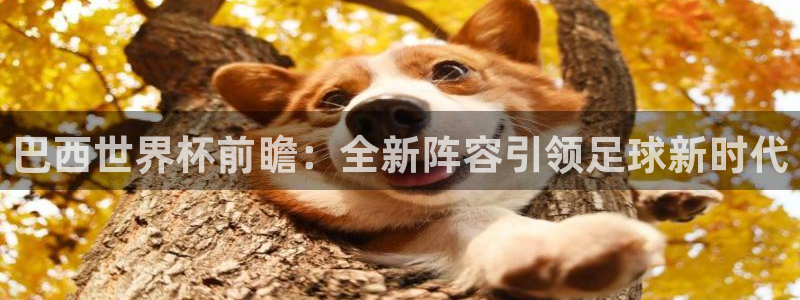 2026世界杯预选赛：巴西世界杯前瞻：全新阵容引领足球新时代