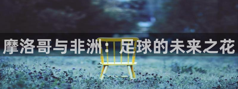 世界杯直播免费观看：摩洛哥与非洲：足球的未来之花
