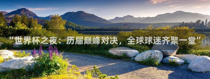 英足总杯直播：“世界杯之夜：历届巅峰对决，全球球迷齐聚一堂”