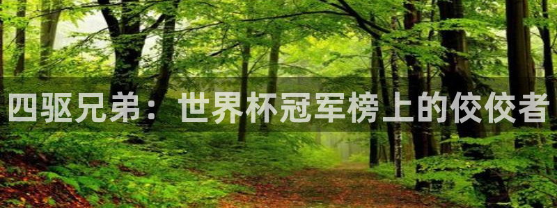 今年的世界杯：四驱兄弟：世界杯冠军榜上的佼佼者