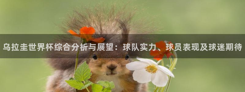 世界杯预选赛欧洲区赛程：乌拉圭世界杯综合分析与展望：球队实力、球员表现及球迷期待