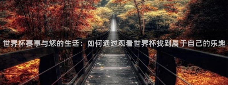 世界杯今日赛程直播：世界杯赛事与您的生活：如何通过观看世界杯找到属于自己的乐趣