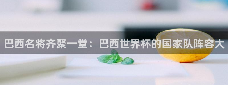国际足联世界杯