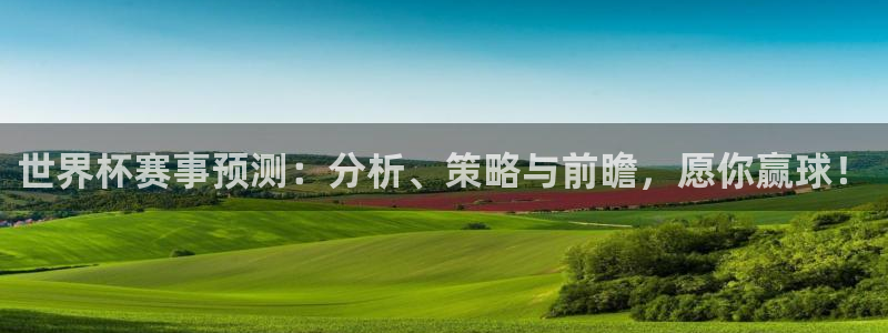 2026世界杯亚洲预选赛赛程:世界杯赛事预测:分析、策略与前瞻,愿你赢球!