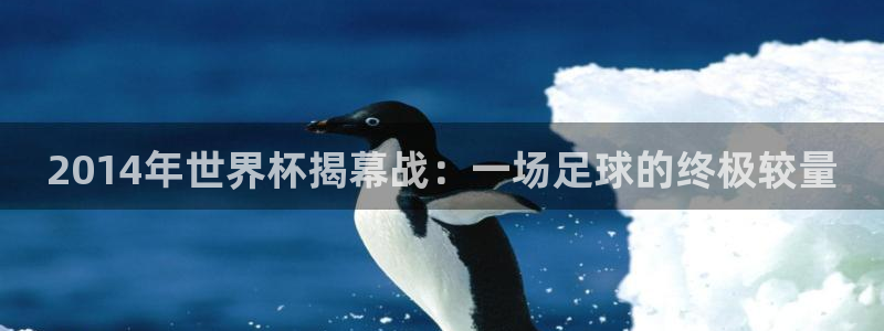 世界杯亚洲区预选赛：2014年世界杯揭幕战：一场足球的终极较量