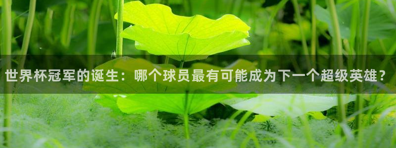 世界杯足球赛2026：世界杯冠军的诞生：哪个球员最有可能成为下一个超级英雄？