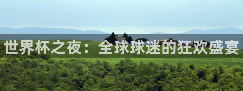 世界杯足球赛2026：世界杯之夜：全球球迷的狂欢盛宴
